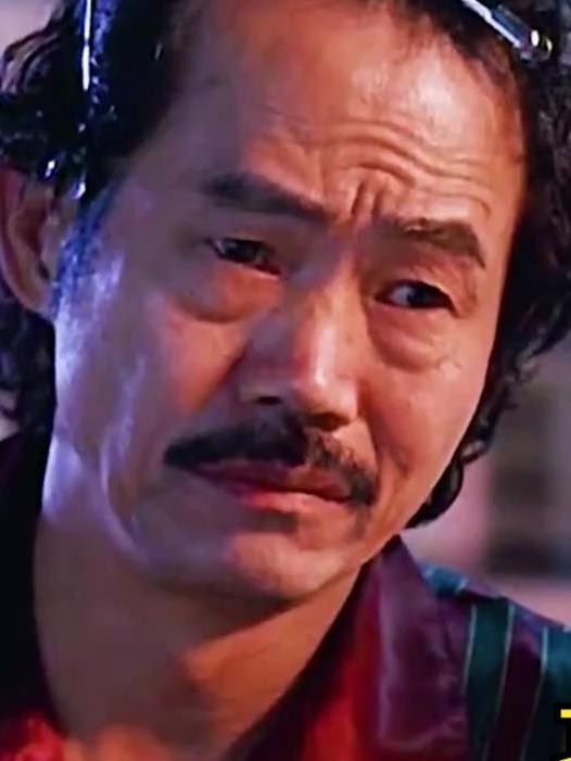 穿越之我成了功夫里的包租公